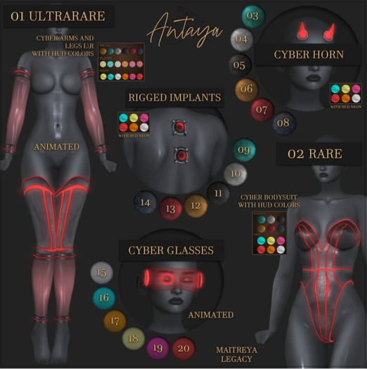 02 RARE :: ANTAYA :: Cyber bodysuit <Sintra> M (BOX)