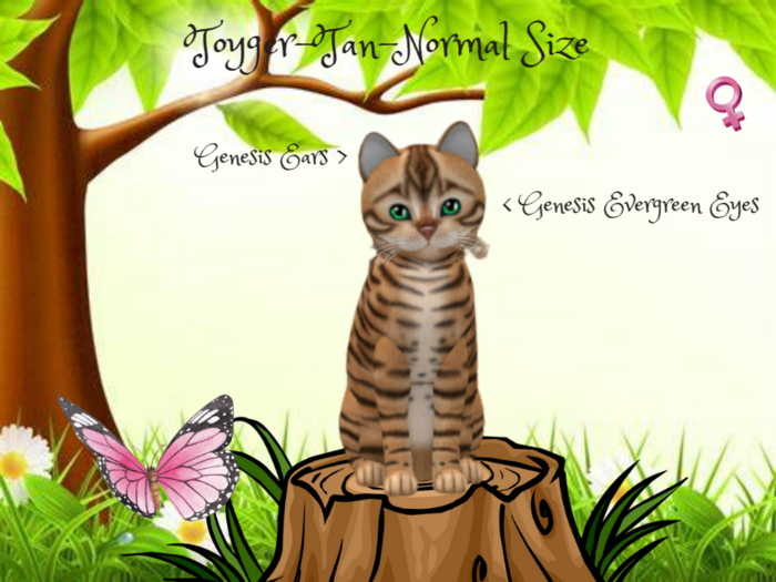KittyCatS - Fur: Toyger - Tan -Size: Normal Girl