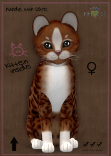KittyCatS Box - Genesis - Ginger Il