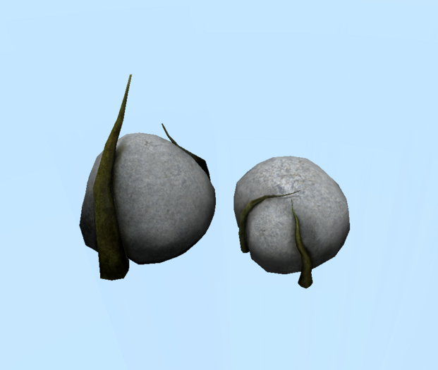 Stone With Branches HW