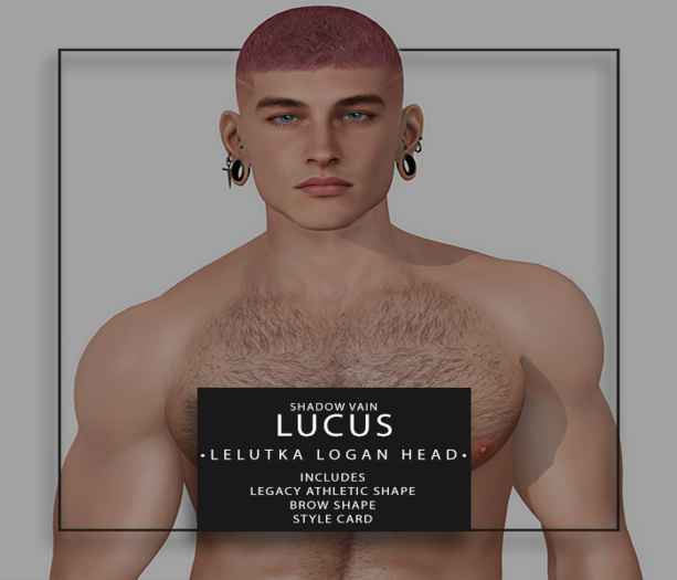 Shadow Vain - Lucus Shape - Lel Logan