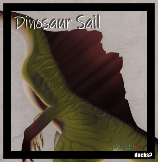 Ducks? - Crux X Sail