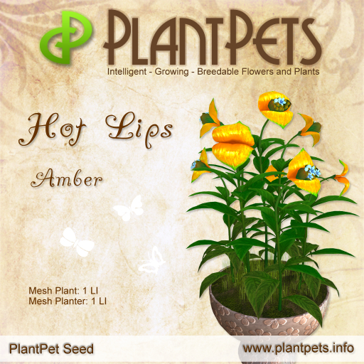 PlantPet Seed [Hot Lips *Amber*]