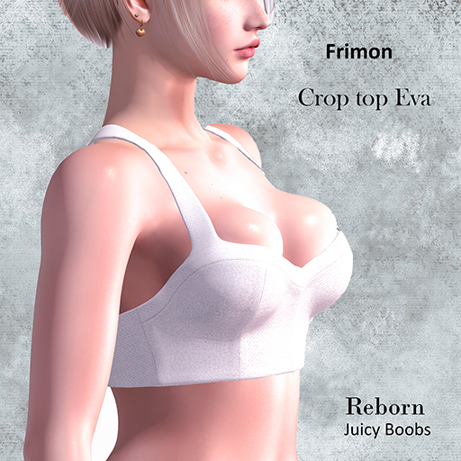 CROP TOP _ EVA - WHAITE