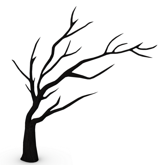 DFS HW Deadwood Tree #2