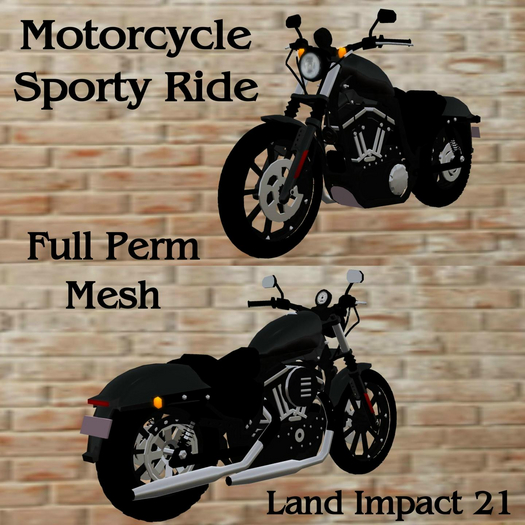 Motorcycle Sporty Ride
