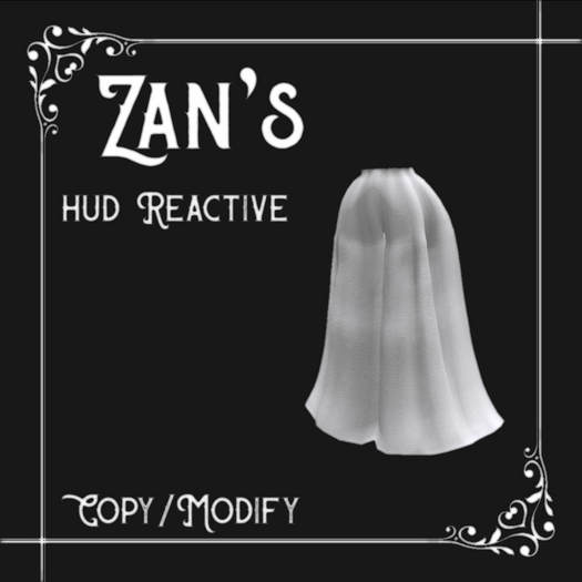 Zan's skirt pants