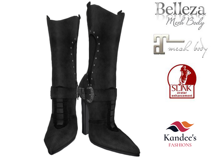 Cowboy Boots Version 4 v2