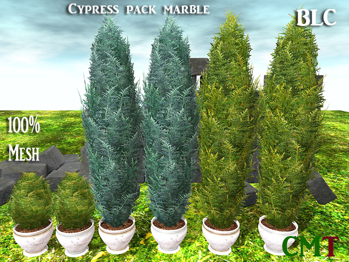 BLC Cypress Pack Marble