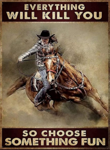 Cowboys-Choose Something Fun