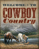 Cowboys-Cowboy Country