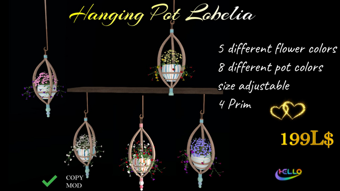 Hanging Pot Lobelia