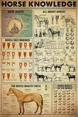 Cowboys-Horse Knowledge