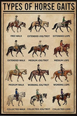 Cowboys-Horse Gaits