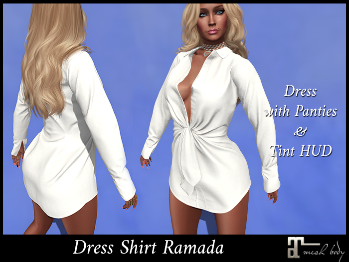 dress shirt and panties Pretty Woman only Wearing a White Shirt. Stock Photo