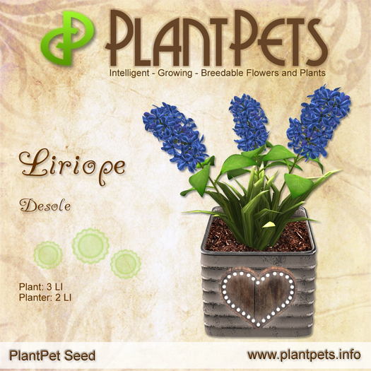 PlantPet Seed [Liriope *Desole*] *Common*