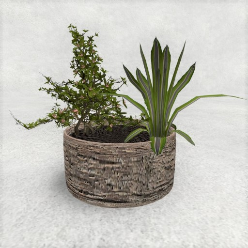 Flower Barrel 4