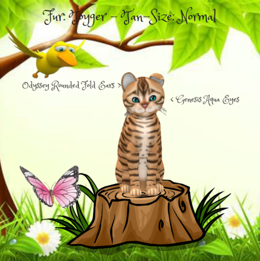 KittyCatS- Fur: Toyger - Tan-Size: Normal-Girl