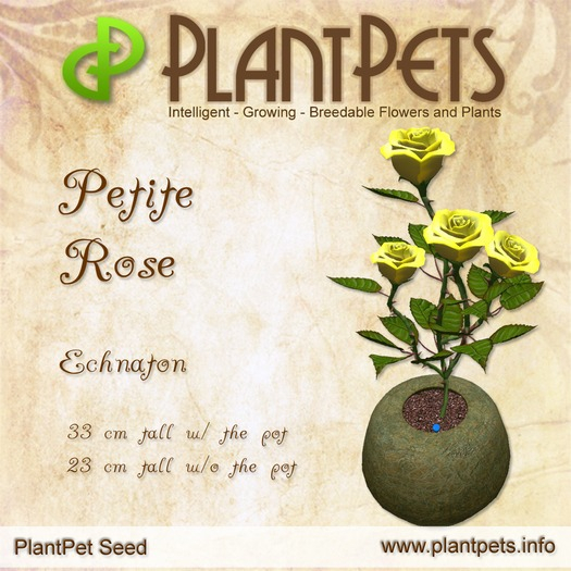PlantPet Seed [Petite Rose *Echnaton*]