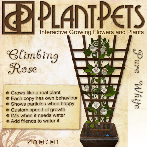 PlantPet Seed [Climbing Rose *Pure White*]