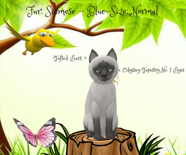 KittyCatS - Fur: Siamese - Blue-Size: Normal-Girl
