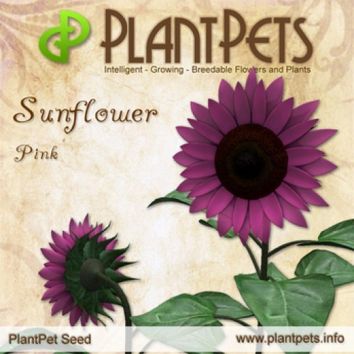 PlantPet Seed [Sunflower *Pink*]