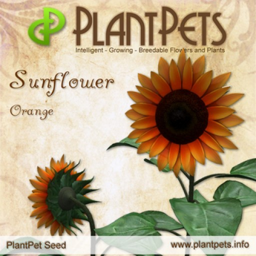 PlantPet Seed [Sunflower *Orange*]