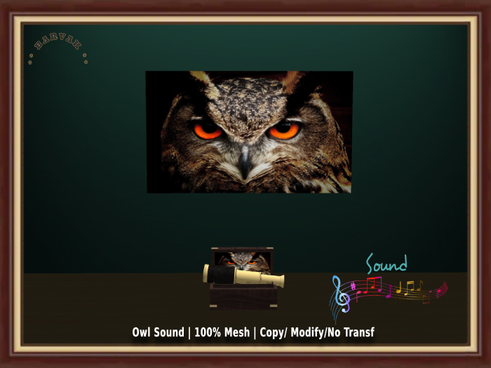 BARVAK - Owl sound - Sound - Decoration