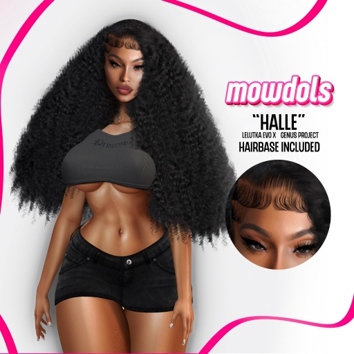 MWDLS $ Halle