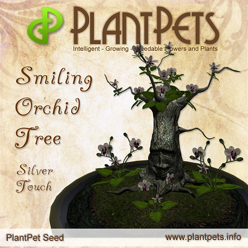 PlantPet Seed [Smiling Orchid Tree *Silver Touch*] (RARE)