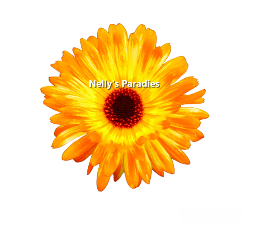 Texture flower orange, Ringelblume