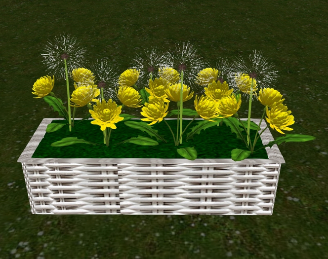 Dandelion Planter