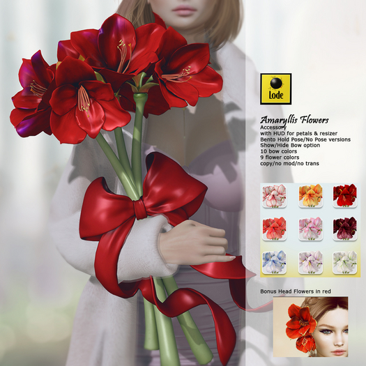 *LODE* Accessory - Amaryllis Flowers [All Colors]