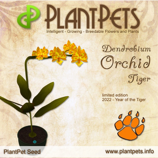 PlantPet Seed [Dendrobium Orchid *Tiger*]