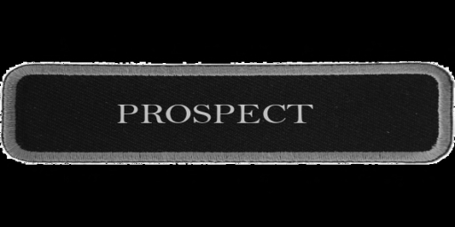 Prospect Patch  {Christmas Sale! 15% OFF}