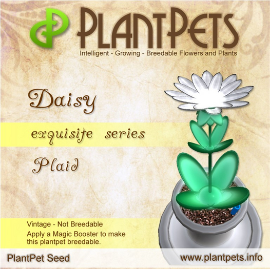 PlantPet Seed [Daisy *Plaid*]
