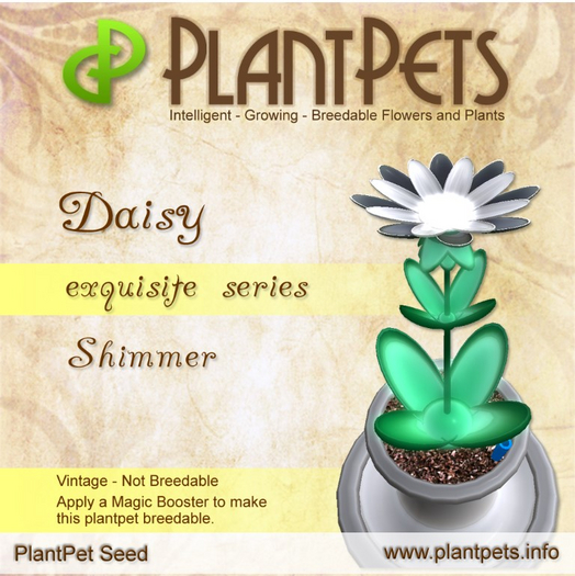 PlantPet Seed [Daisy *Shimmer*]