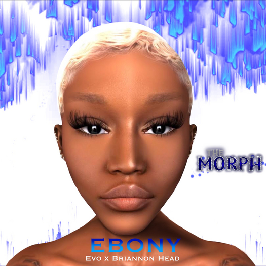 The Morph- Ebony Skin_EvoX