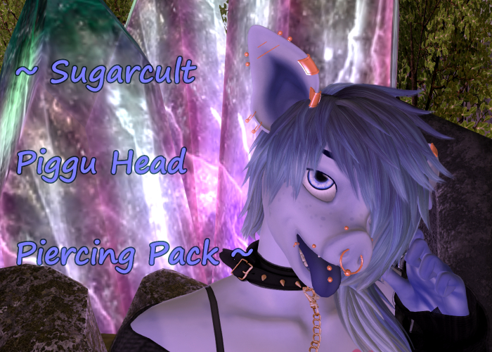 [NSH] Sugarcult Piggu Head Piercings