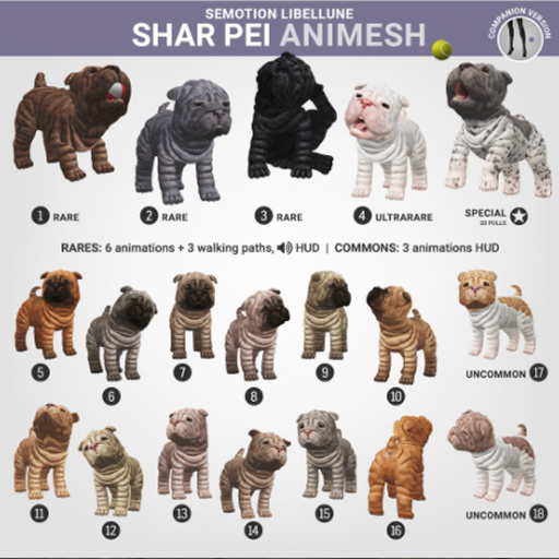 SEmotion Libellune Shar Pei Animesh COMMON 08