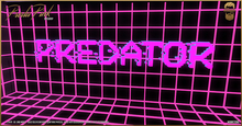 Preda Pink Backdrop - The Bearded Guy