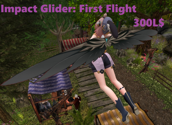 Impact Glider First Flight