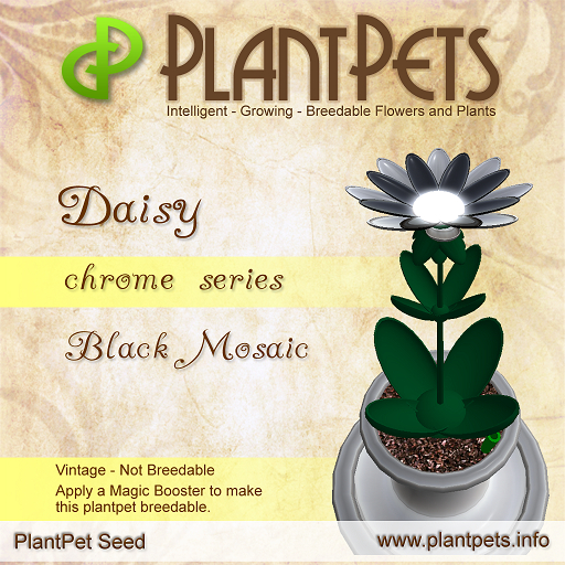 PlantPet Seed [Daisy *Chrome Black Mosaic*]