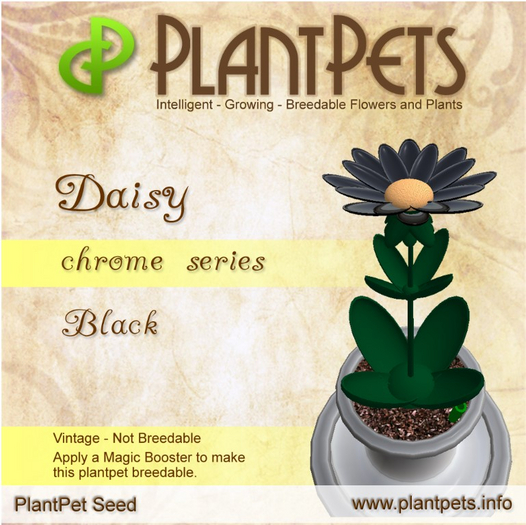 PlantPet Seed [Daisy *Chrome Black*]