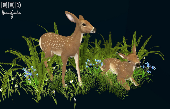 EED's FAWN SCENE resizer c