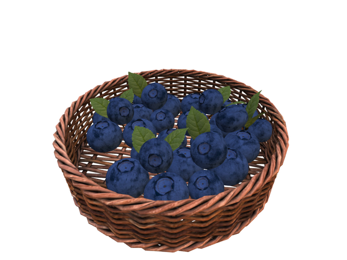 DFS Berry Basket