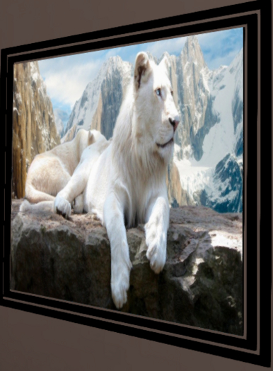 white mountain tiger