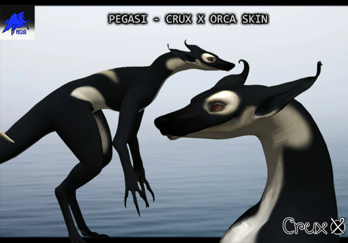 PEGASI - CRUX X ORCA