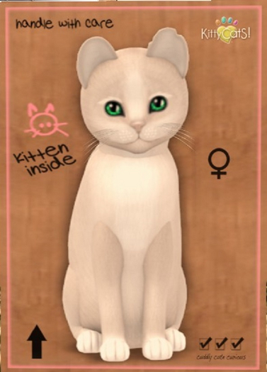 KittyCatS Box - Genesis - Pearl II  Size: Bigger de Big