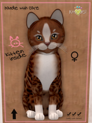 Meow Manor-Genesis - Ginger II